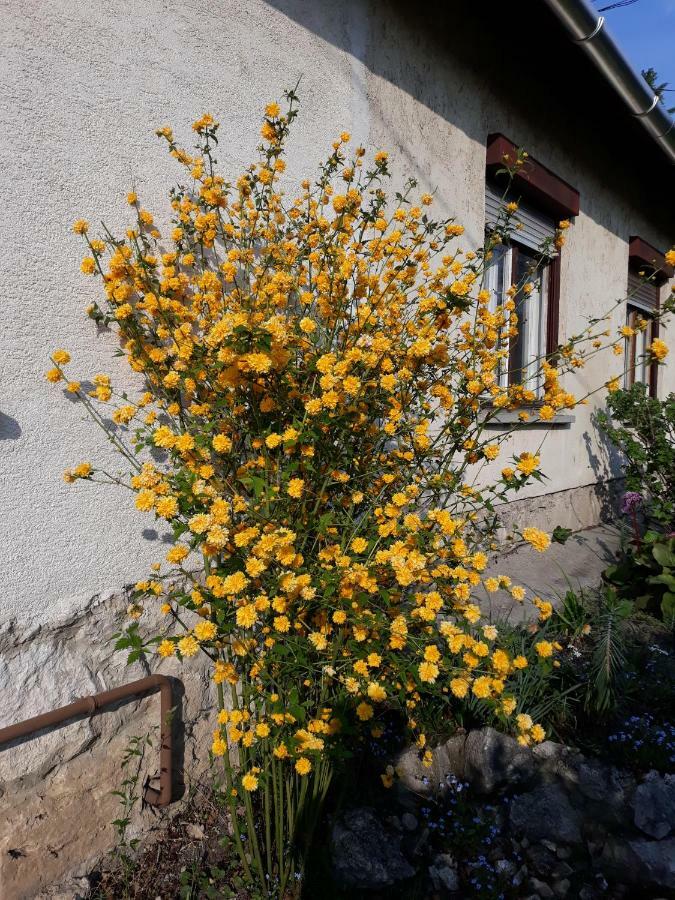 Éva Vendégház Tata Exterior foto